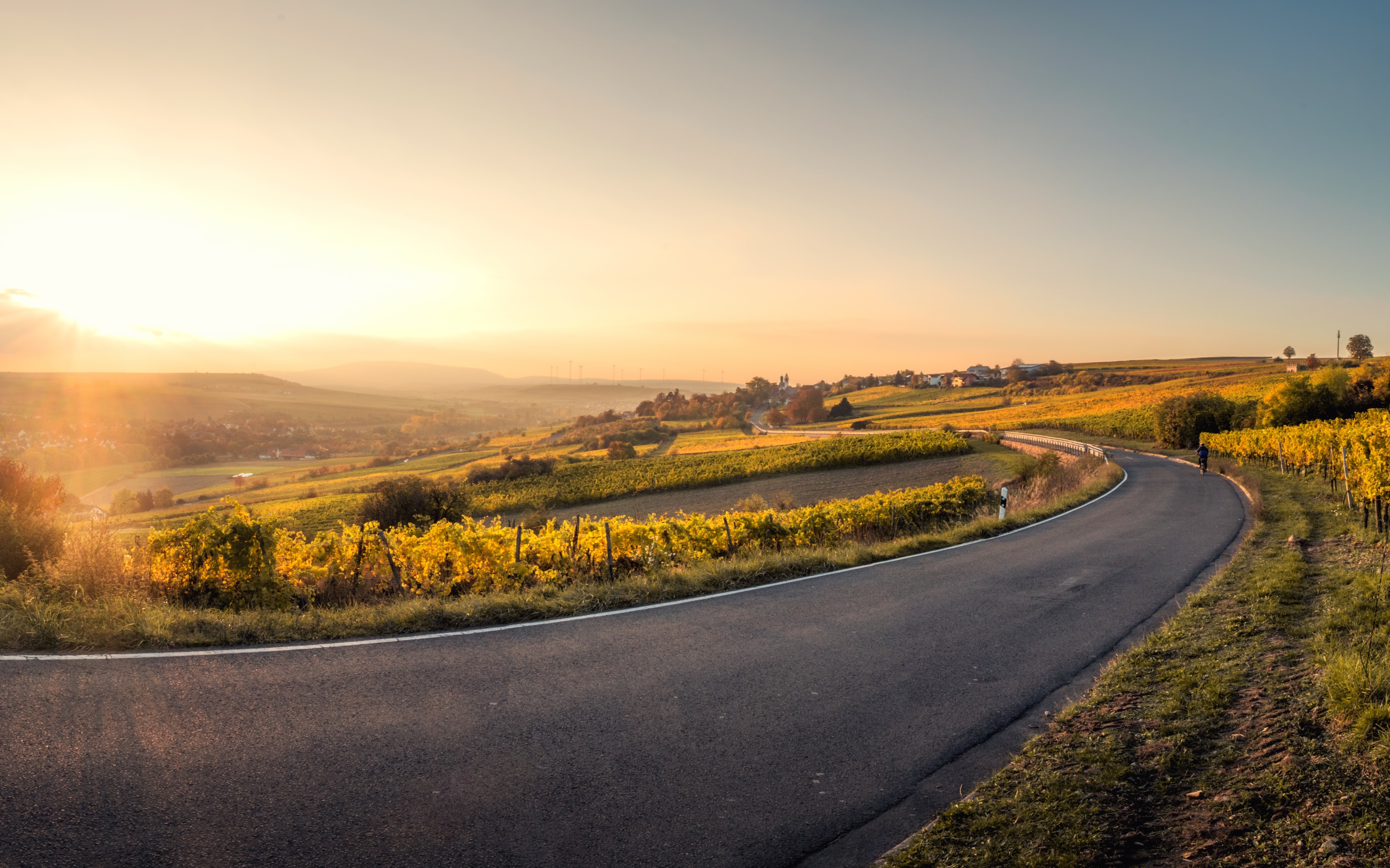 sunny_road