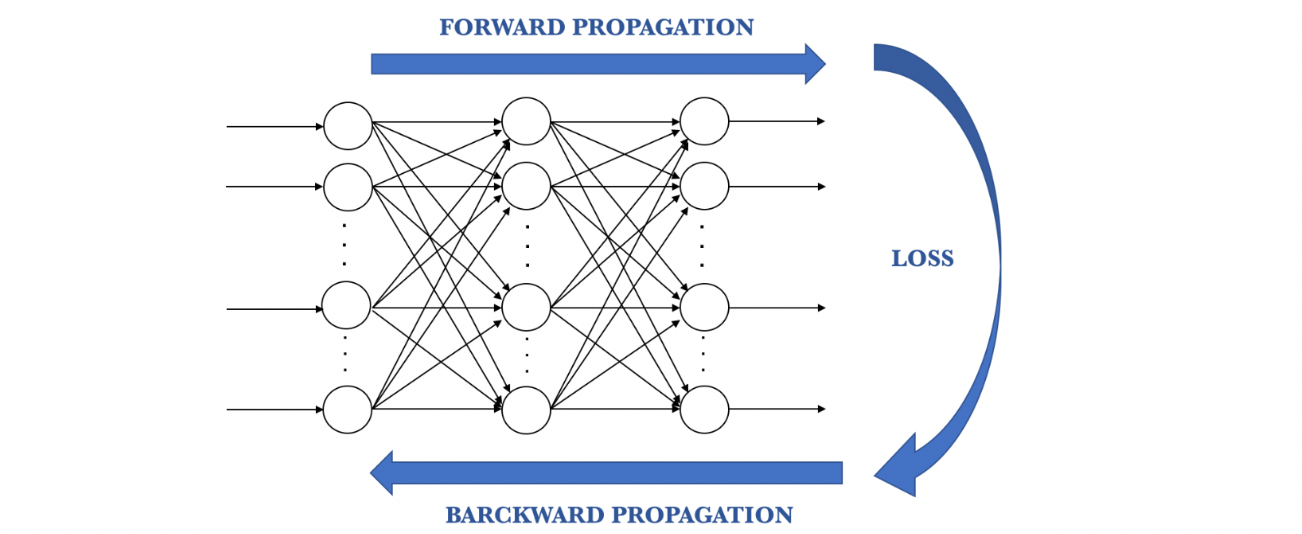training-process